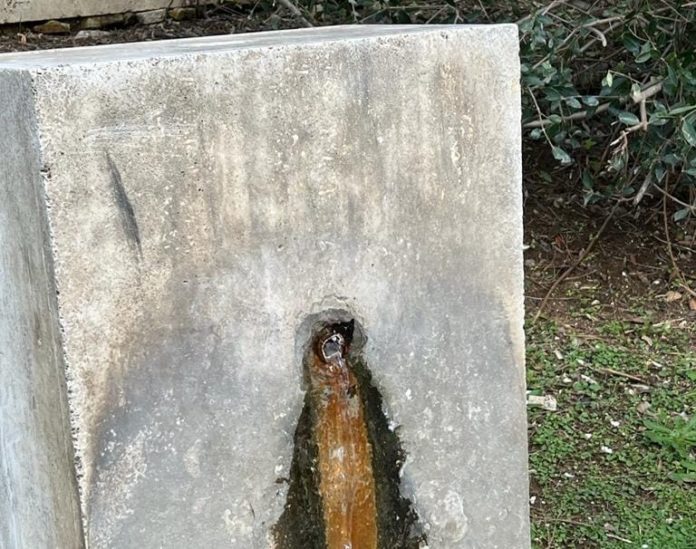 WhatsApp Image 2022-11-30 at 10.59.12