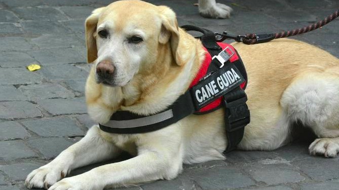 Schermata 2023-03-24 alle 10.47.27