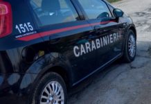 Scarichi della stalla nel canale su strada, una denuncia alla Chiesuola