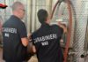 Scarsa igiene in una cantina del Sud pontino, scatta la chiusura