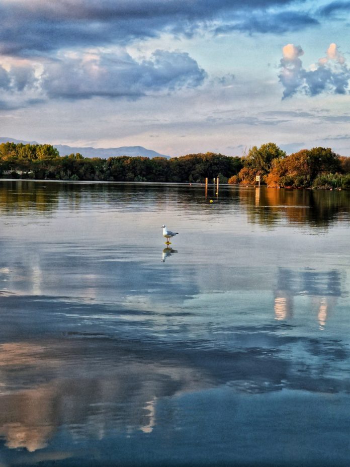 Premio Regione Lazio Racconti di Sabaudia 2023 Francesca Zito