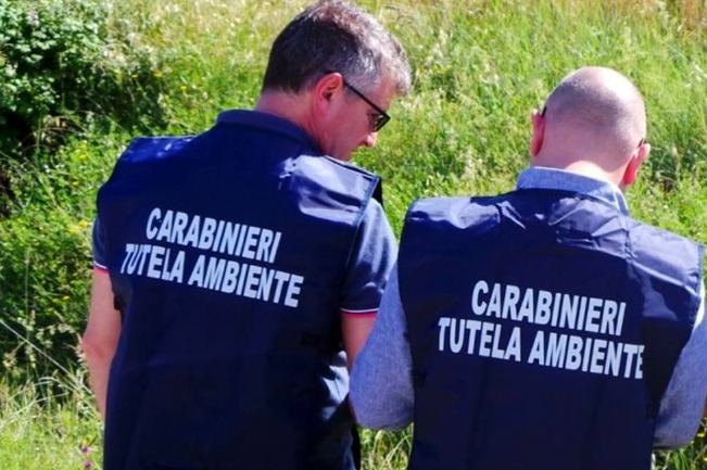 Screenshot 2023-11-22 170617