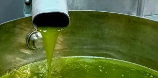 Il miglior olio del Lazio è di un’azienda agricola della provincia di Latina