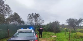 Terracina, un incendio distrugge un magazzino agricolo abbandonato