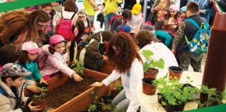 Campoverde, tutto pronto per la 37esima Mostra Agricola