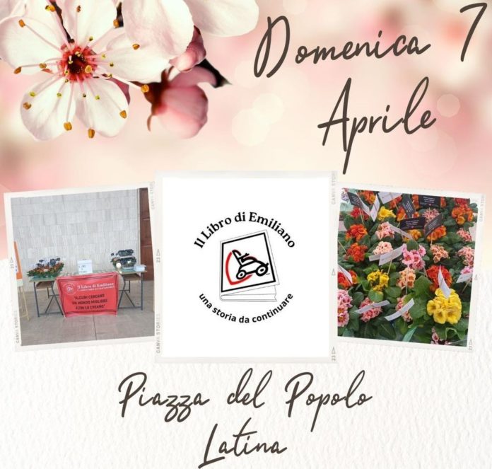 Il libro di emiliano 2