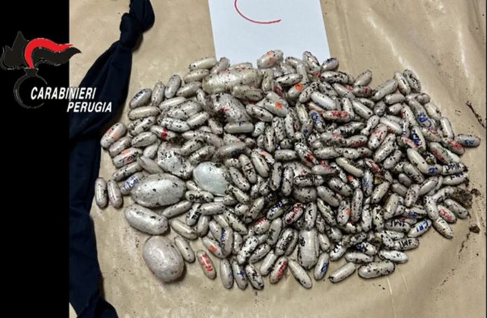 WhatsApp Image 2024-04-08 at 16.11.02