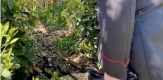 Terracina, ritrovati tra la vegetazione sei fucili rubati