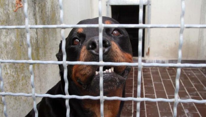 61bd402b-1d9a-4b16-81d8-d8a36205691a