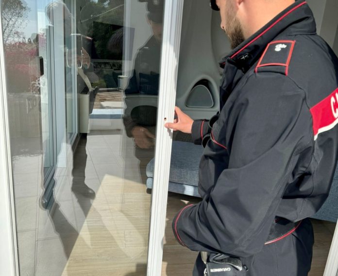 WhatsApp Image 2024-05-06 at 15.26.44