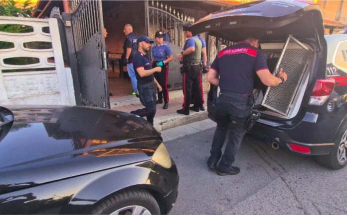 WhatsApp Image 2024-06-18 at 10.29.56