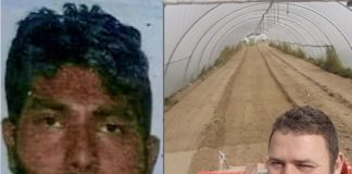 Omicidio Satnam Singh, Lovato va davanti al Gip