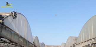 Terracina, controlli nelle aziende agricole: 11 lavoratori in nero