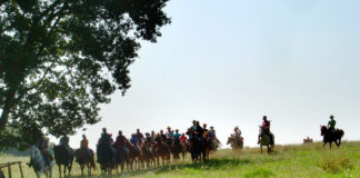 Cisterna, domani la prima tappa della XXXII Marcia della transumanza