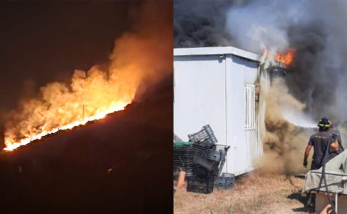 WhatsApp Image 2024-08-08 at 10.50.39