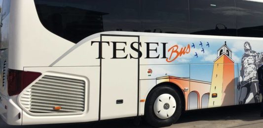 tesei bus