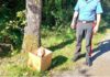 Lenola, abbandonano tre cuccioli di cane in uno scatolone: salvati dai carabinieri