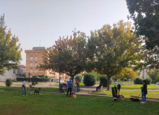 Adozione responsabile dei cani, tutto pronto a Terracina per il progetto ‘Crescere insieme si può’