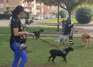 “Crescere insieme si può” il maltempo rinvia l’incontro con i cani del canile Comunale di Terracina