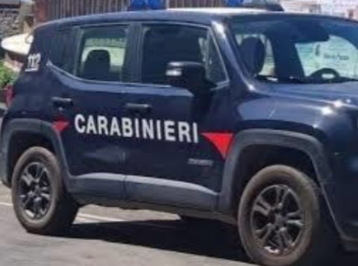 IMG_20241127_174901_081