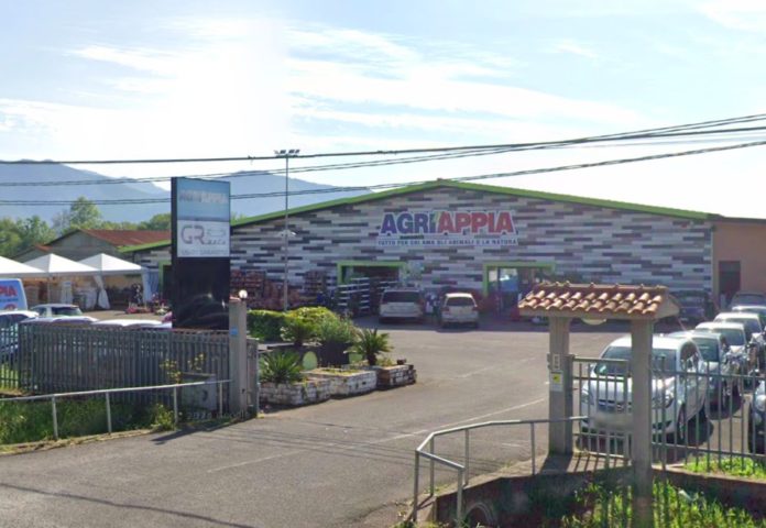 Schermata 2024-11-26 alle 11.28.46