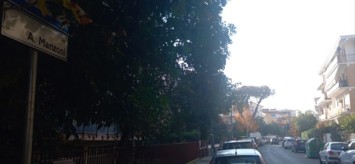 WhatsApp Image 2024-11-11 at 09.23.08