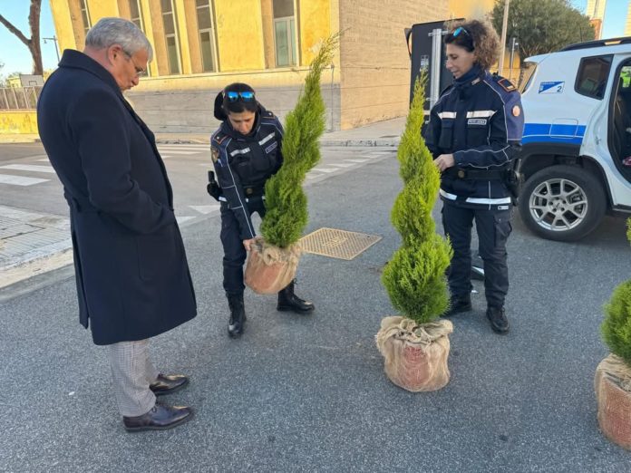 FB_IMG_1734454862997