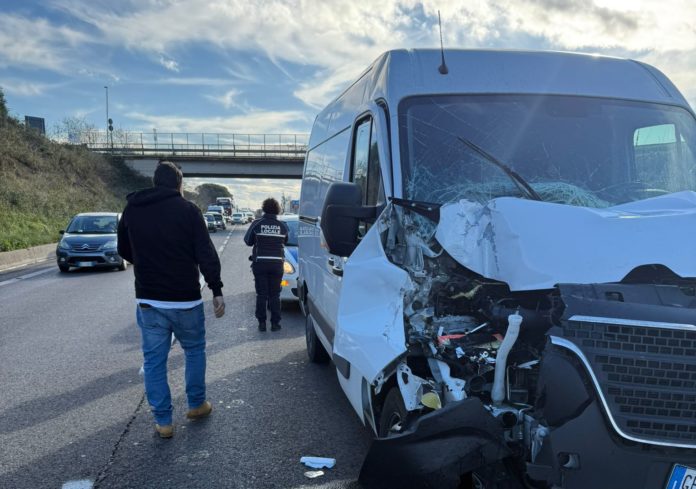 WhatsApp Image 2024-12-09 at 09.49.39