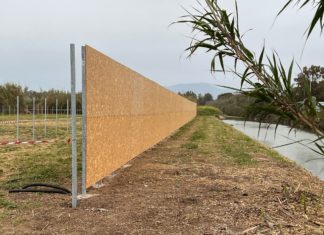 Arena Fogliano, via libera dal Comune: l’estate pontina accende i riflettori