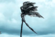 Vento forte in arrivo, scatta l’allerta meteo