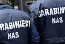 Carnevale pericoloso: sequestrati oltre 500 articoli tra Priverno e Cori