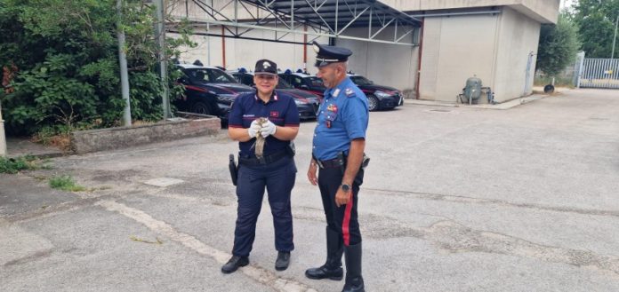 Screenshot 2025-07-28 121907