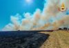 Latina, vasto incendio a Borgo Piave: bruciati 30 ettari di vegetazione