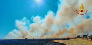 Latina, vasto incendio a Borgo Piave: bruciati 30 ettari di vegetazione