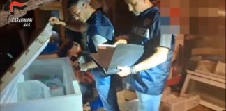 Terracina, locale etnico chiuso dai Nas: 500kg di alimenti sequestrati
