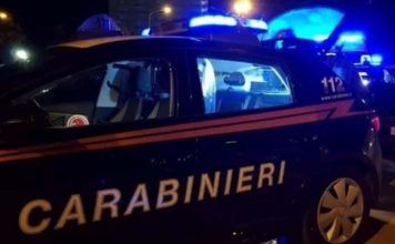 Sperlonga, paura sulla Flacca: furgone e auto investono una mucca