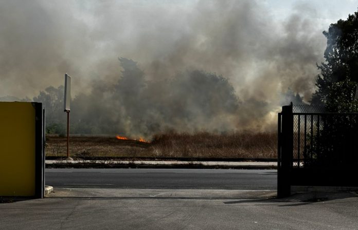 WhatsApp Image 2025-08-28 at 13.17.11