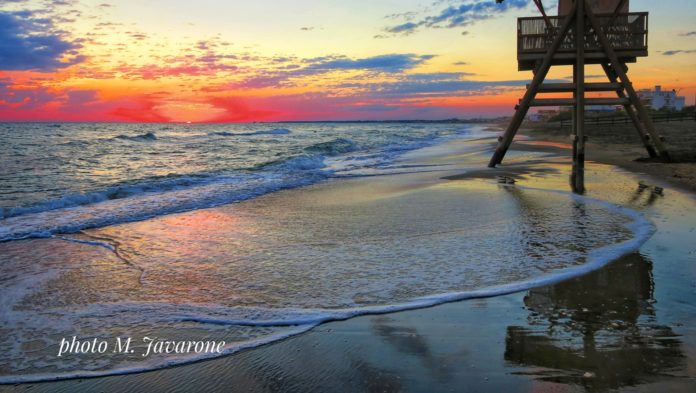 542758090_2172402893236973_9215841638850540086_n