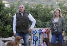 E’ di Itri il miglior allevamento di segugi al mondo