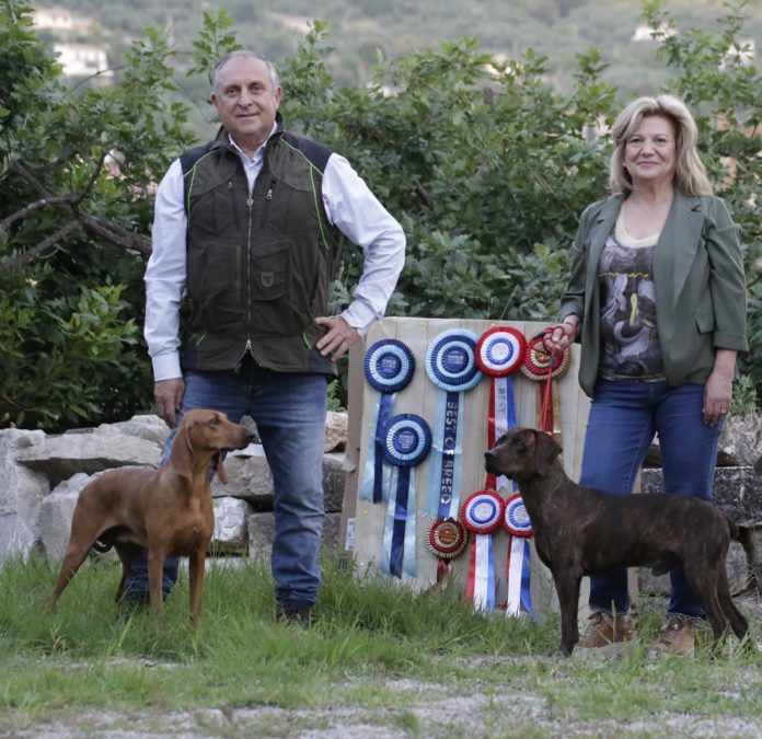 Foto Allevamento DI Campello Campioni Mondiali