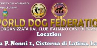 Sfilata a quattro zampe, la World Dog Federation fa tappa a Cisterna