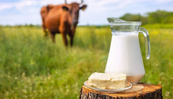 PHOTO-2025-09-05-18-13-16