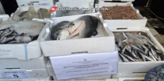 Controlli a Sabaudia: sequestrato pescato senza etichettatura