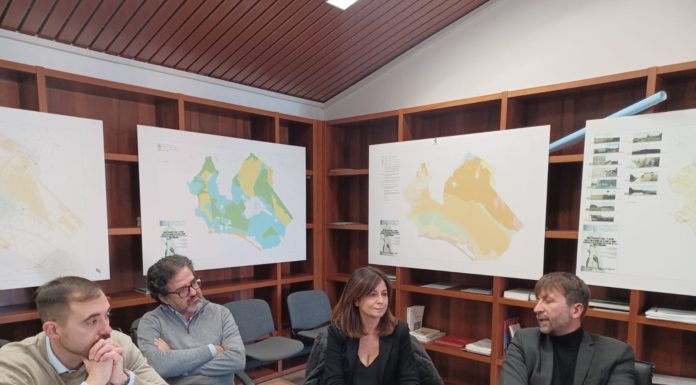 Latina, commissione Bilancio: mutuo da dieci milioni per le strade