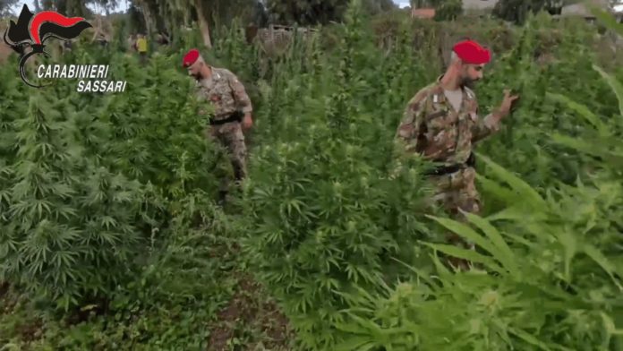 vlcsnap-2025-12-15-10h39m14s537-1280x720