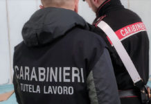 Aprilia, carabinieri in un’azienda agricola: multa al titolare