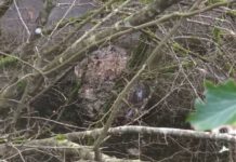 Frana sulla Cassino-Formia, superstrada chiusa