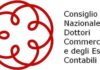 Rinnovo dell’Ordine nazionale, le proposte dei commercialisti di Latina
