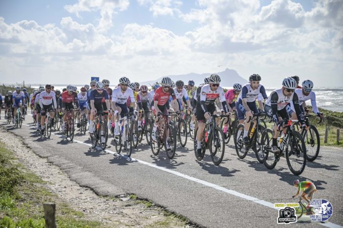 1T_Gpontino25_P_-230-X3