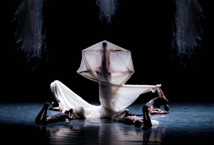 SABIR- credits MSPD (1)